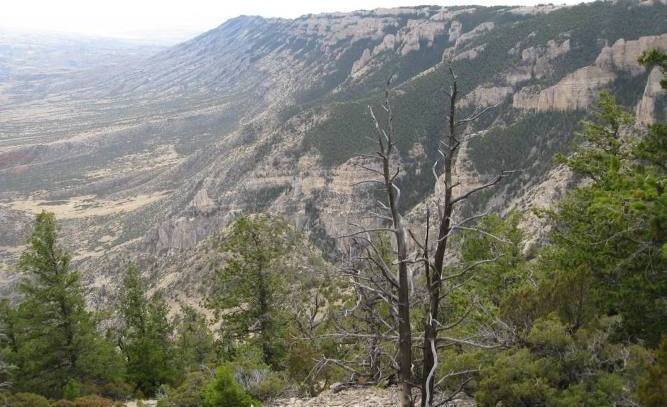 De petits êtres diaboliques vivraient dans les Monts Pryor