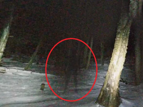 Une mystérieuse ombre noire à Sherbrooke