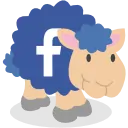 Page Facebook