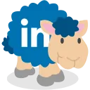 biography.link.LinkedinAccount